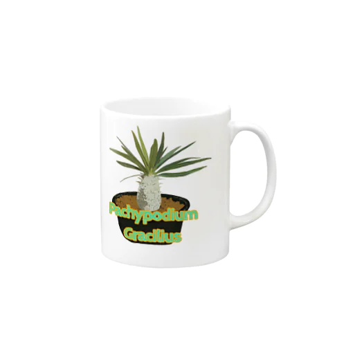 Pachypodium Gracilius Mug