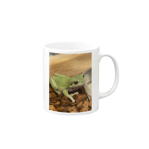 peco Mug