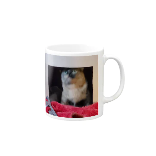 ぶれねこ Mug