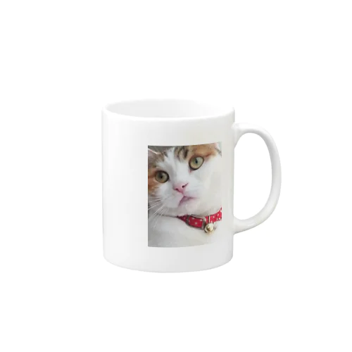 ねこのこたま Mug