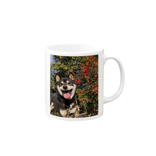 柴犬のけんたろー Mug