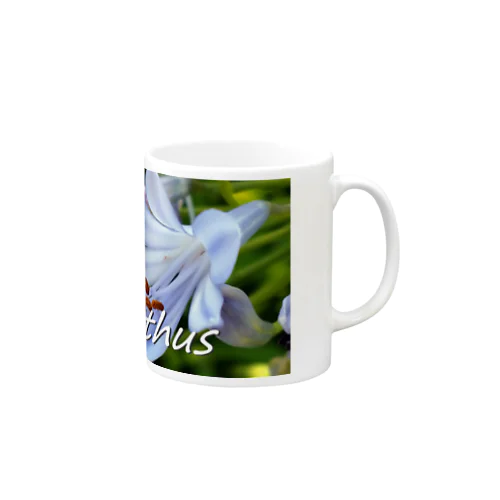 アガパンサス Agapanthus Mug