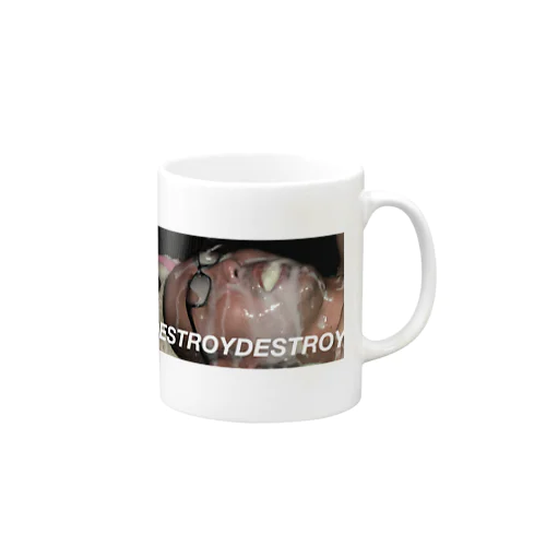 DESTROYDESTROY Mug