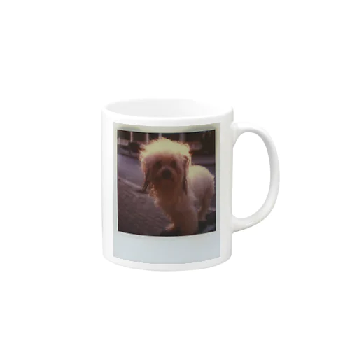 Won！ Mug