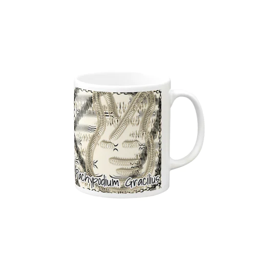 Pachypodium Gracilius  Mug