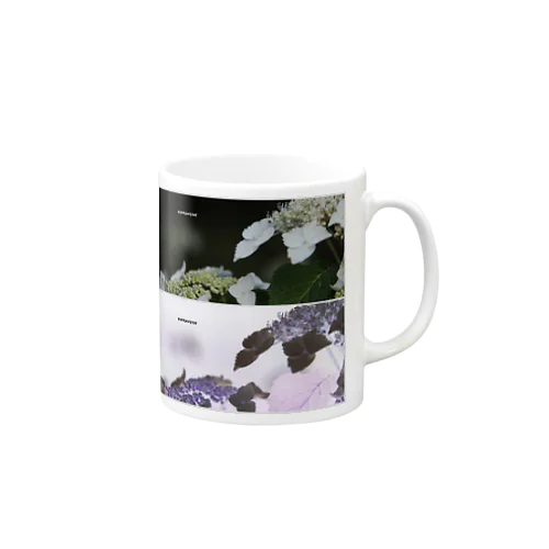 hydrangeas Mug