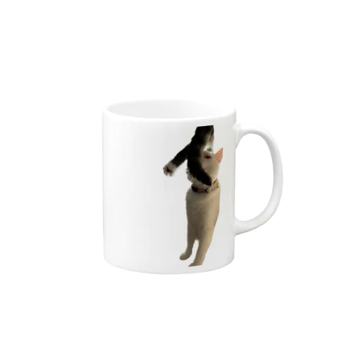 ねこねこ Mug