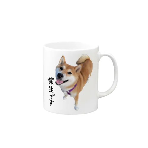 柴生です Mug