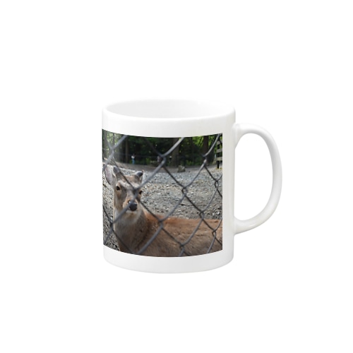しか Mug