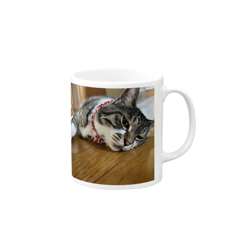 実家の猫 Mug