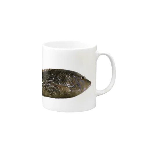 相模湾で笛吹き釣りタイ Mug