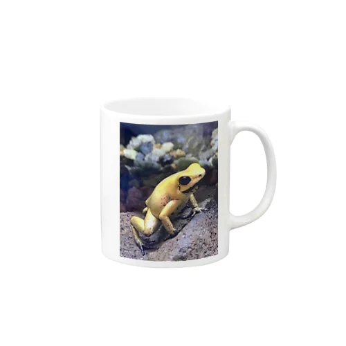 モウドクフキヤガエル Mug