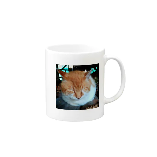 先輩猫 茶太郎 Mug