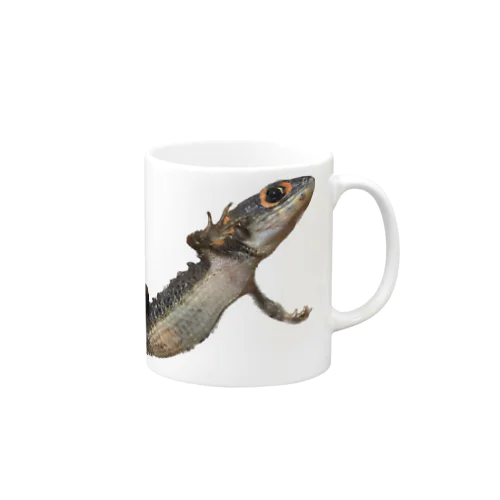 アカメカブトトカゲ Mug