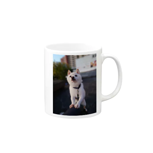 柴犬ラルフ Mug