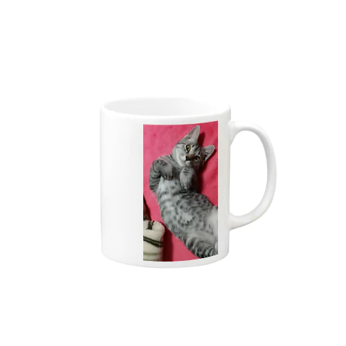 可愛げがあった頃の猫です｡ Mug