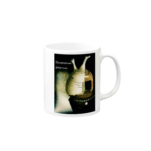 Pachypodium Gracilius  Mug