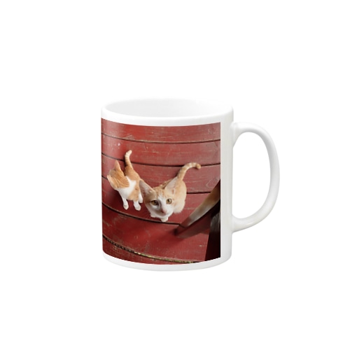 パラオ猫 Mug
