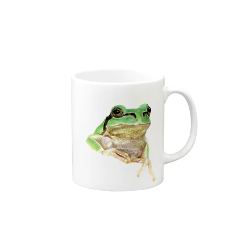 色鉛筆画　『アマガエル』 Mug