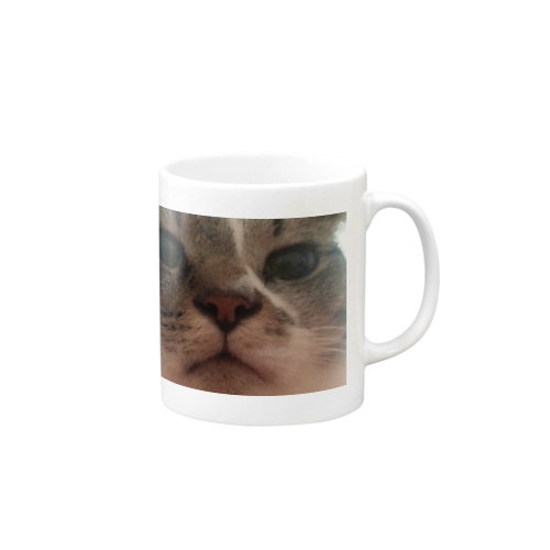 男好き晴信 Mug