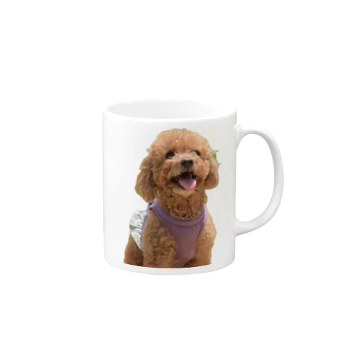  愛犬PASS Mug