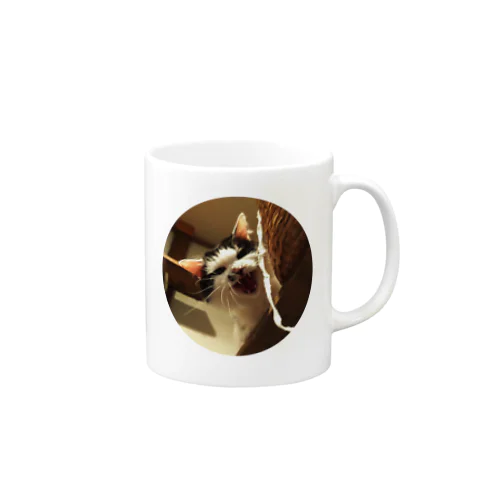 強面のねこ　チビゴン　その1 Mug