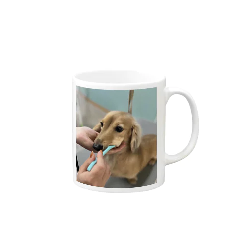 カニンヘンダックスの歯磨き Mug