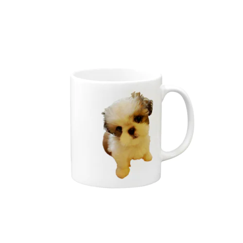 see&zoo Mug