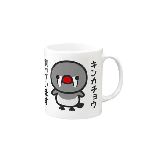 キンカチョウ飼っています（メス） Mug