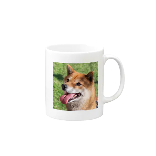 柴犬のはなちゃん Mug