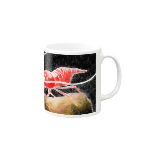 リュウグウモエビ Mug