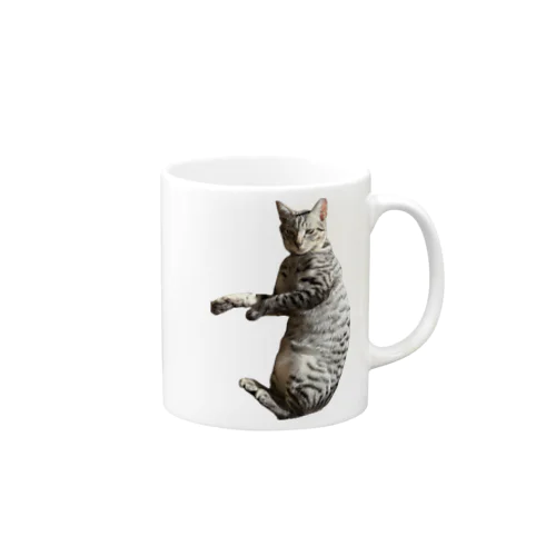 でぶねこ Mug