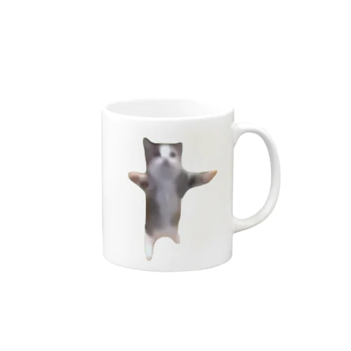 【猫ミーム】Happy Happy Cat Mug