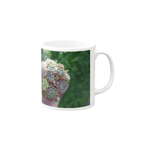 succulent2 Mug