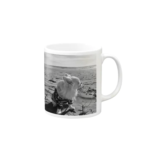 TONO-Coast2 Mug