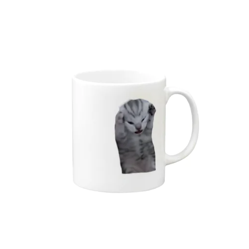 猫ミーム Mug