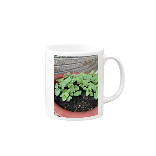 新しい始まりを象徴する緑の新芽がプランターから顔を出しました🌱 Mug