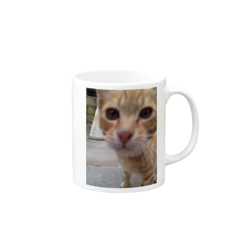 ねこたん。 Mug