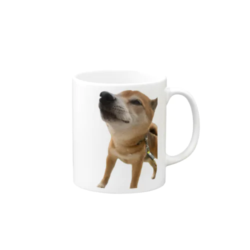 柴犬むさし Mug