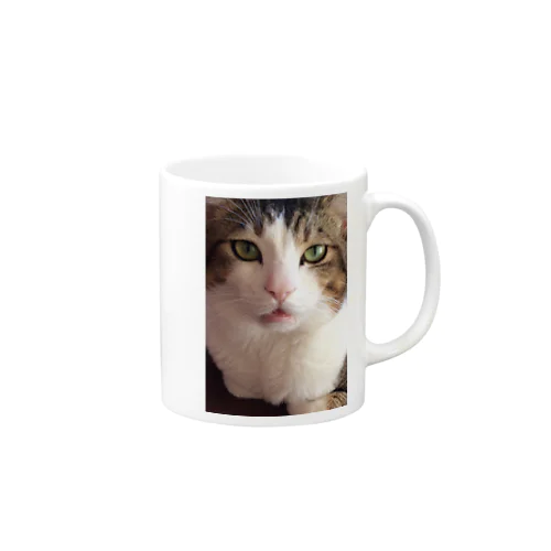 猫 Mug