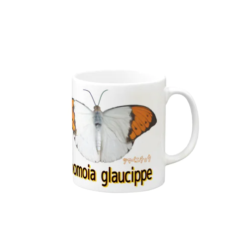 魅惑のツマベニチョウ　Hebomoia glaucippe Mug