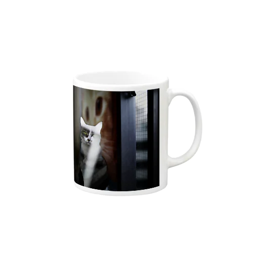 正面からみたねこ Mug