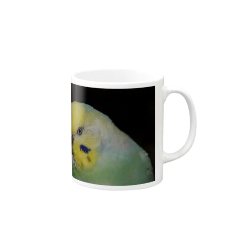 Pchan Mug