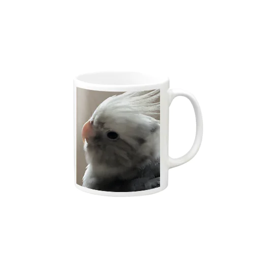 siruva Mug