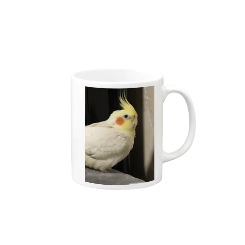 sig Mug