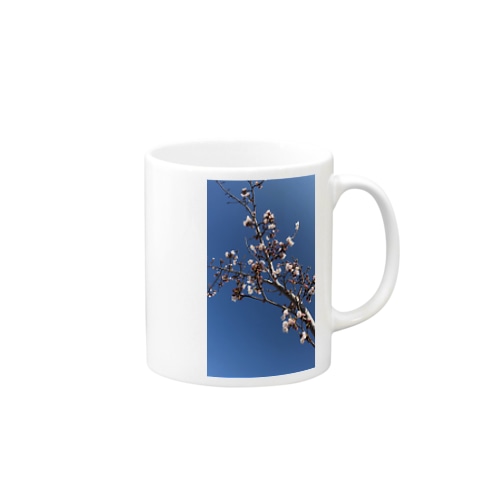 空 桜 写真 Mug