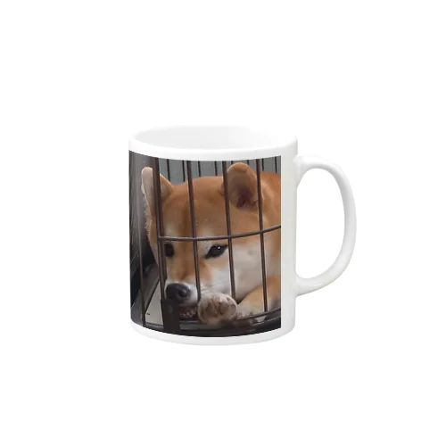 柴犬こはく ぶさいくver Mug