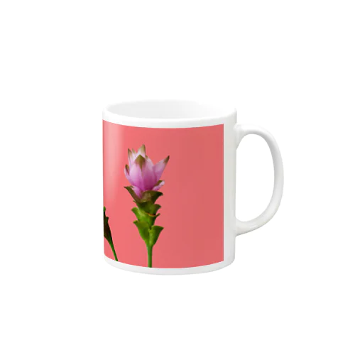 Curcuma alismatifolia -pink マグカップ