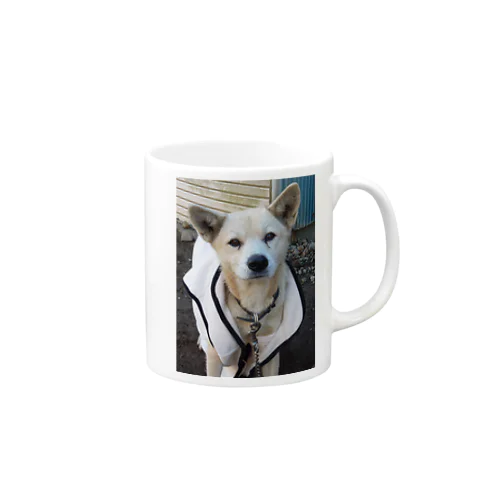 雑種犬（第3の犬）ﾆｺﾆｺ笑う マグカップ