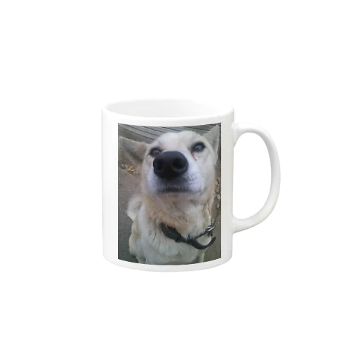 雑種犬明後日をみる Mug